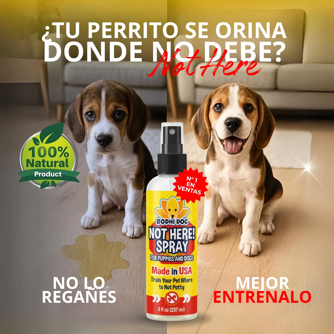 NOT HERE - Spray Para Perros