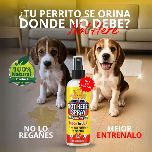 NOT HERE - Spray Para Perros